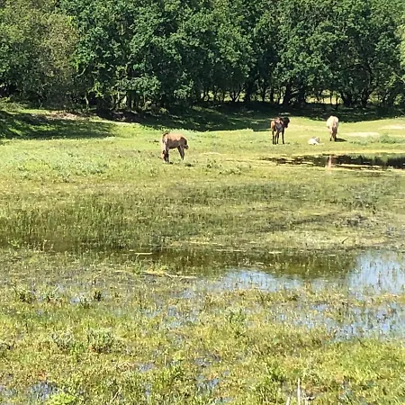 Gluecklich Am Deluxe Mit Wellnesszugang Apartment *