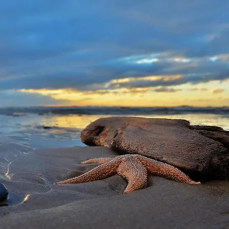Gluecklich Am Deluxe Mit Wellnesszugang Egmond aan Zee