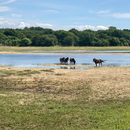 Appartement Gluecklich Am Deluxe Mit Wellnesszugang