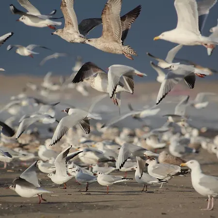 شقة Gluecklich Am Deluxe Mit Wellnesszugang إغموند آن زي