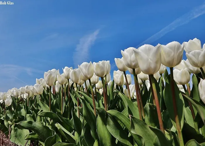 Lägenhet Gluecklich Am Deluxe Mit Wellnesszugang *