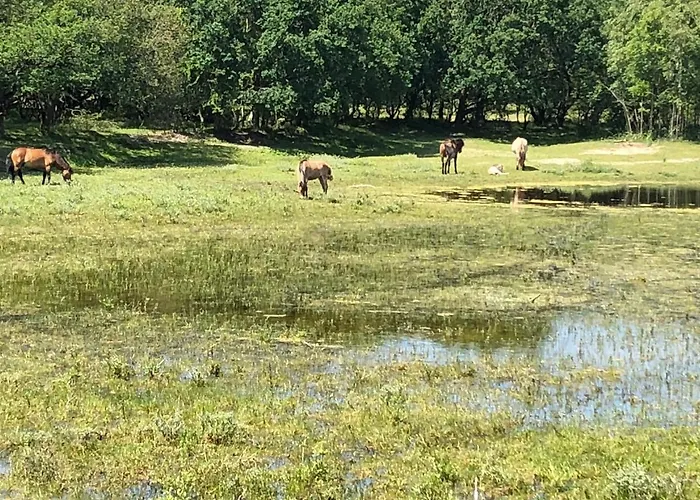 Gluecklich Am Deluxe Mit Wellnesszugang Lägenhet *