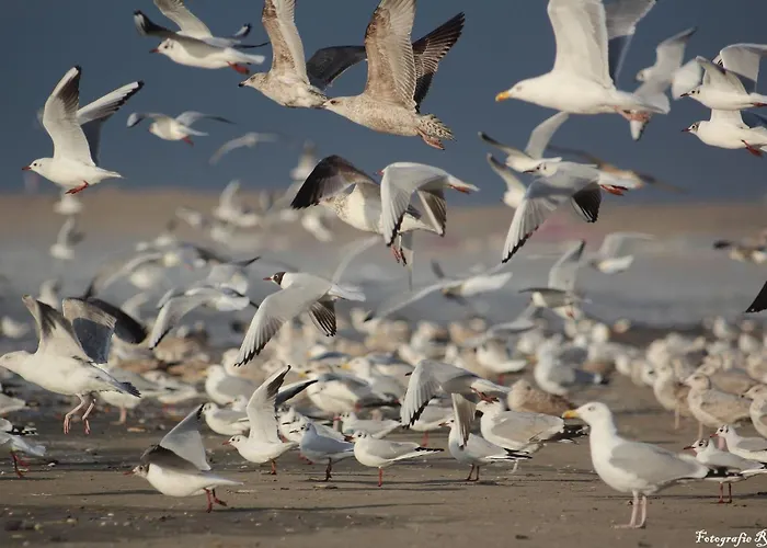 Lägenhet Gluecklich Am Deluxe Mit Wellnesszugang Egmond aan Zee
