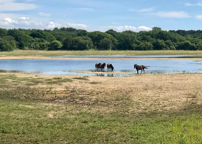 Lägenhet Gluecklich Am Deluxe Mit Wellnesszugang